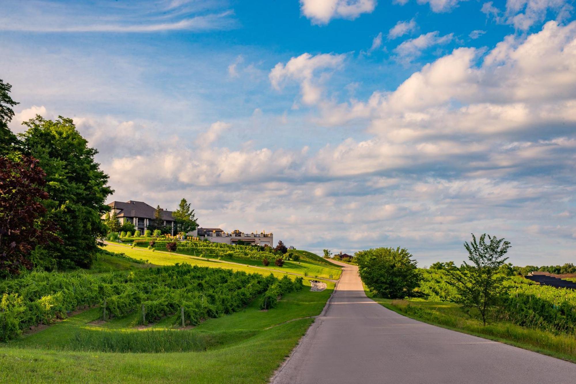 New Happy Trail 2Br Condo Close To Downtown Traverse City Eksteriør billede